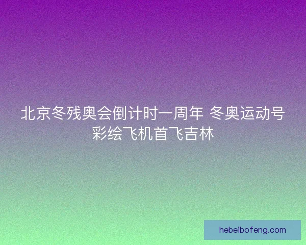 北京冬残奥会倒计时一周年 冬奥运动号彩绘飞机首飞吉林