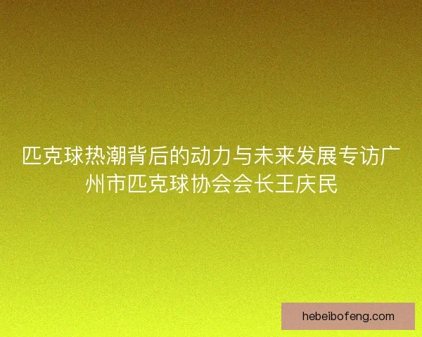 匹克球热潮背后的动力与未来发展专访广州市匹克球协会会长王庆民 匹克球热潮背后的动力与未来发展专访广州市匹克球协会会长王庆民